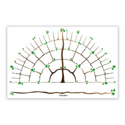 Branches Genealogy Chart