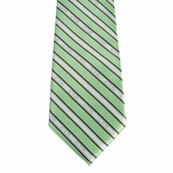 Boys Green and Brown CTR Stripe Tie 
