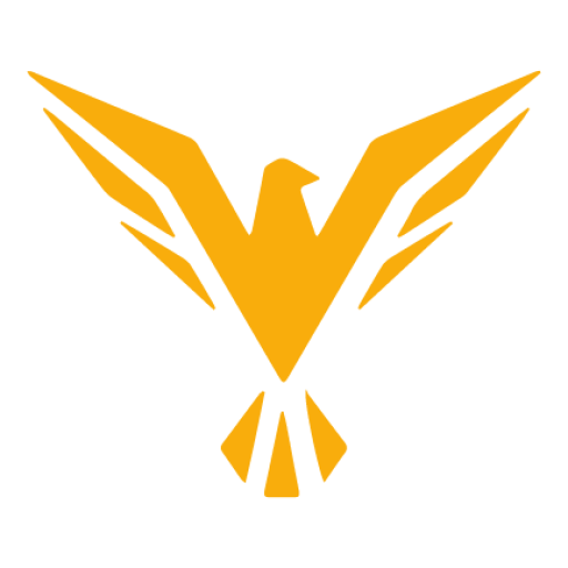 Falcon Gutter Solutions LLC Logo