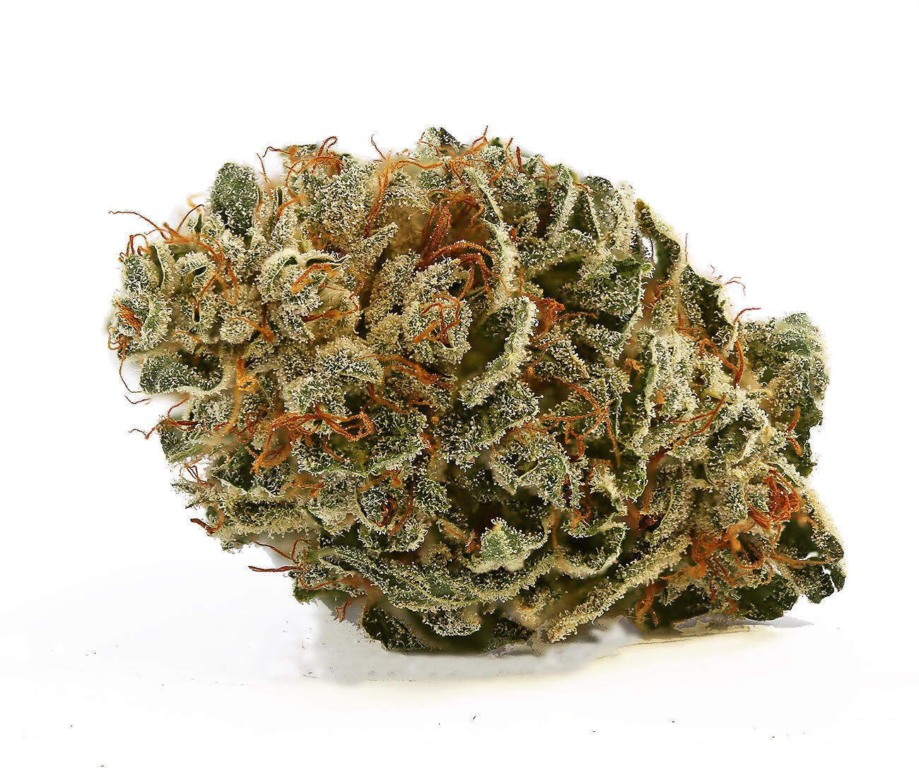 East Fork Cultivars: White - Hemp