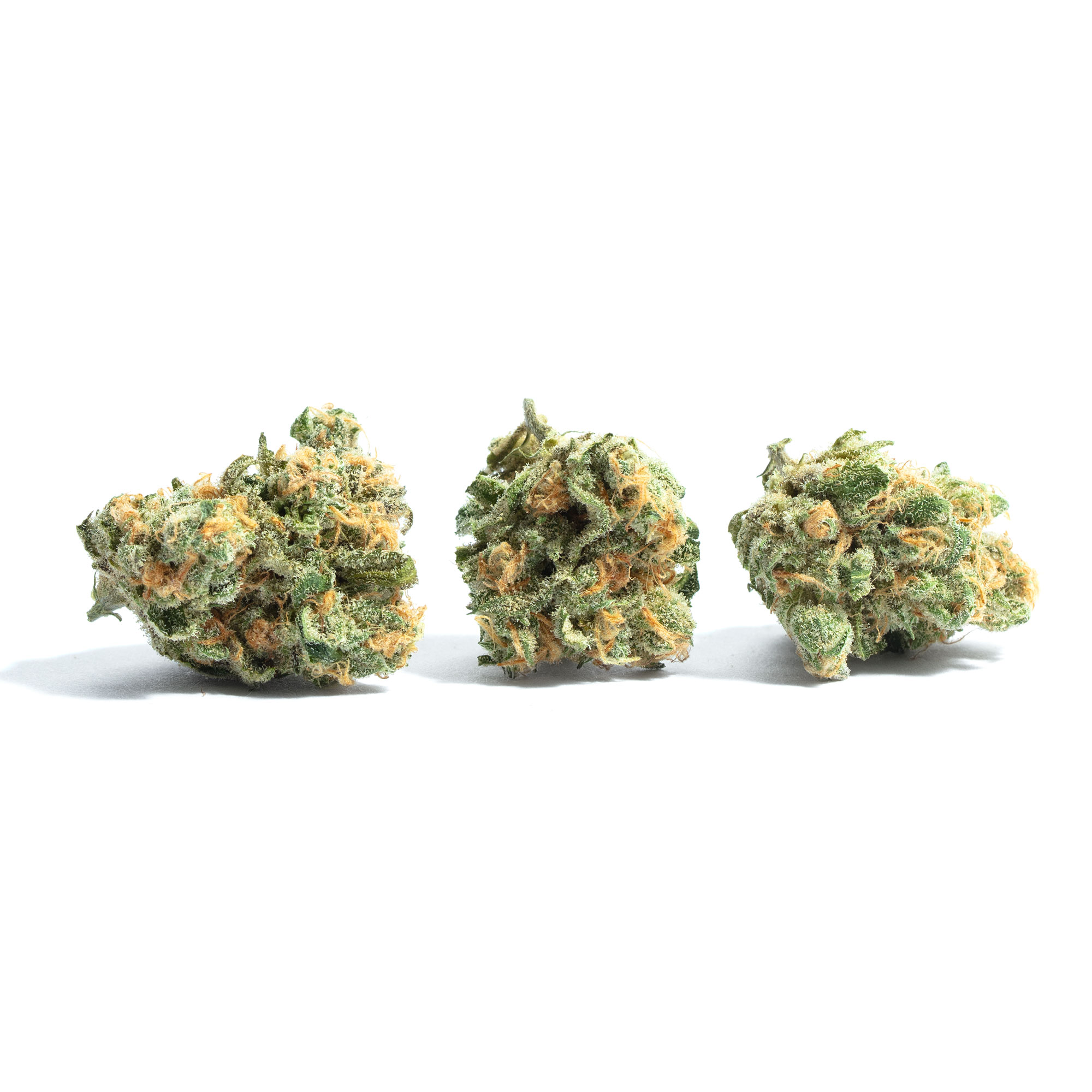 Foto de la variedad Snoop's Dream
