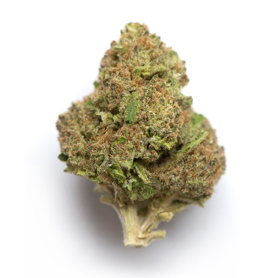 Blue's Beach: Blue Diesel
