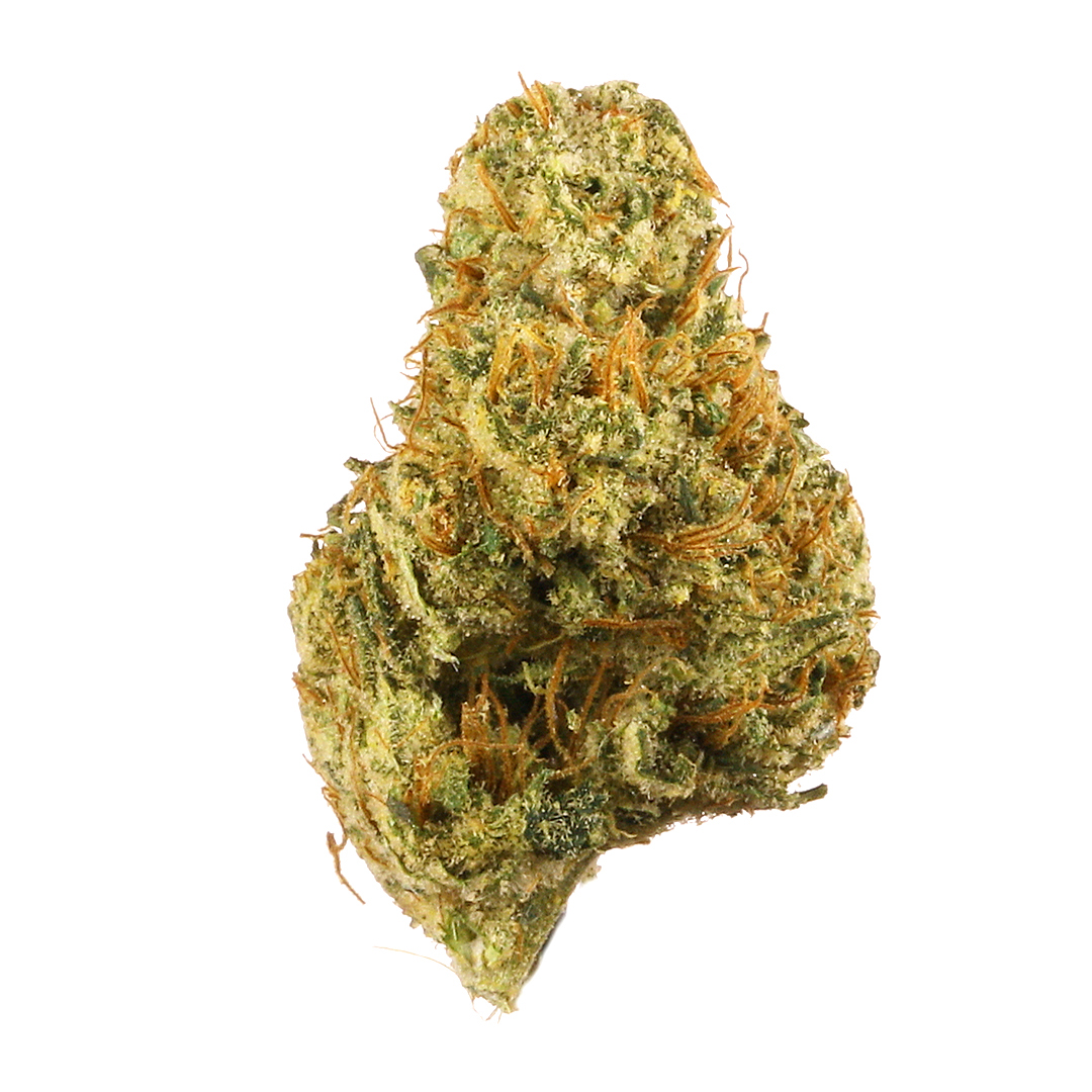 Dutch Treat Marijuana Strain Information Leafly