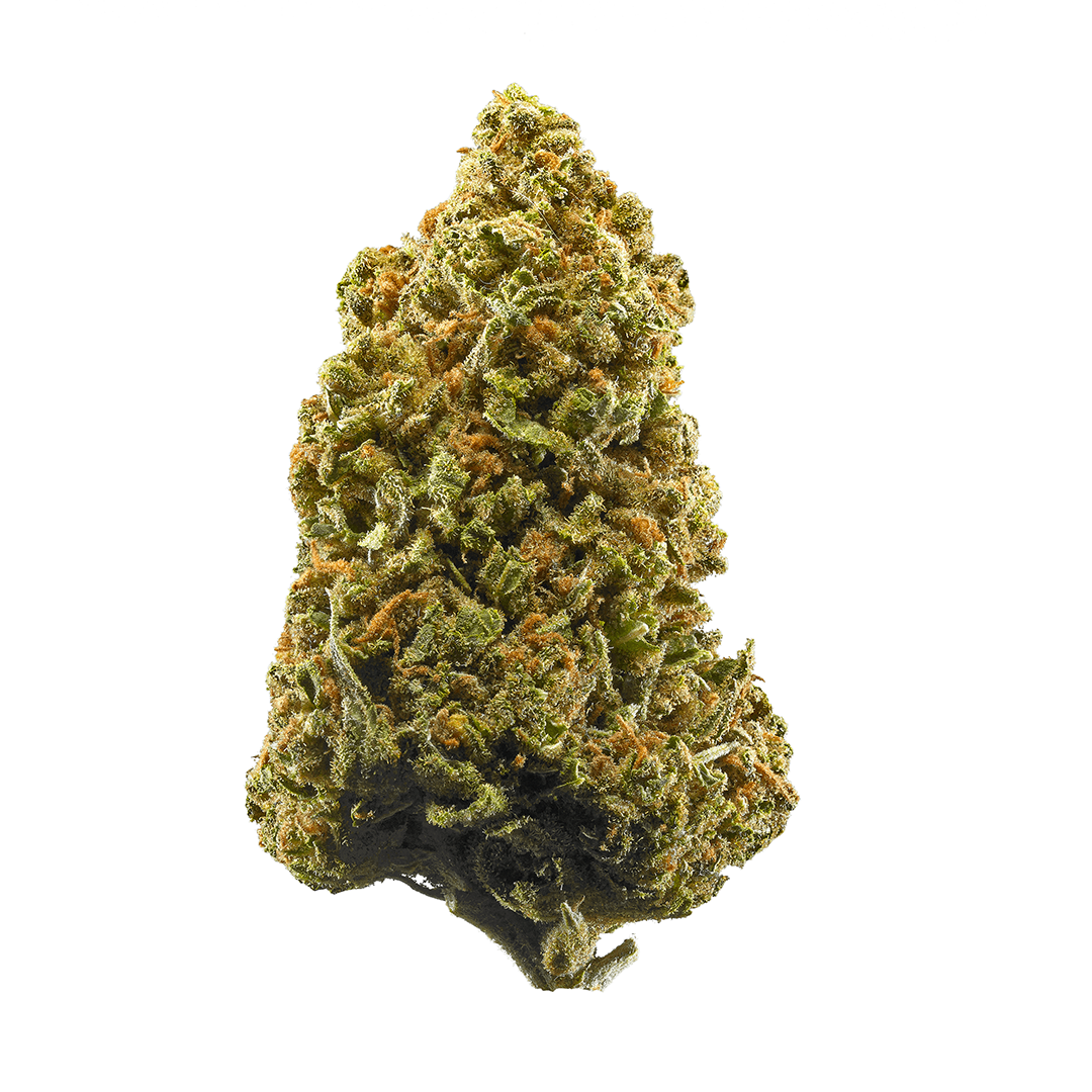 High Tech Concentrates: Lamb S Bread