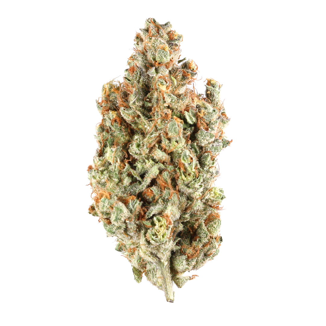Foto de la variedad Orange Skunk
