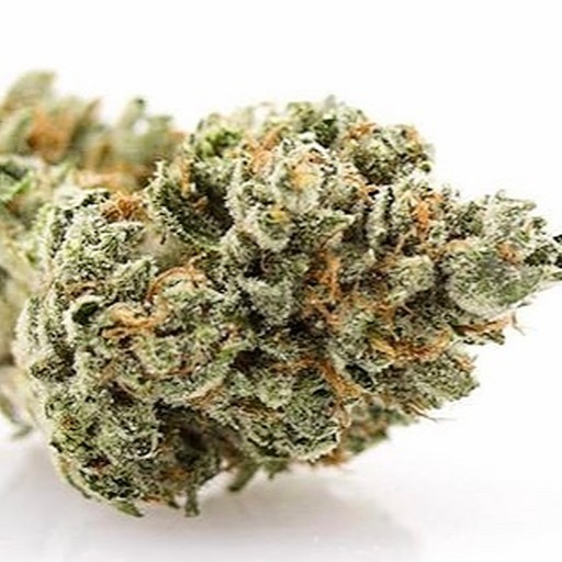 Arbors Wellness OG 2 Leafly