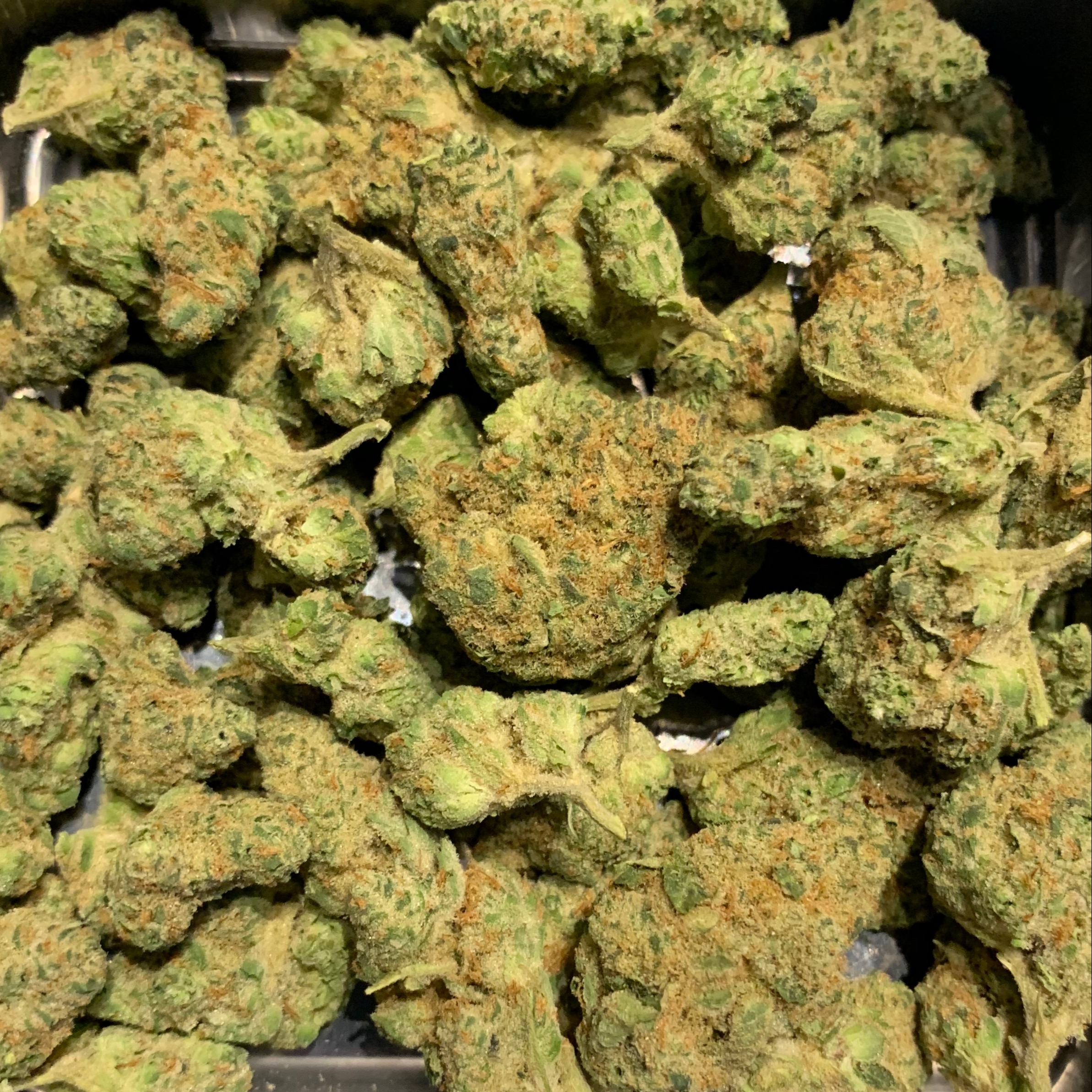 Jungle Cheese Leafly