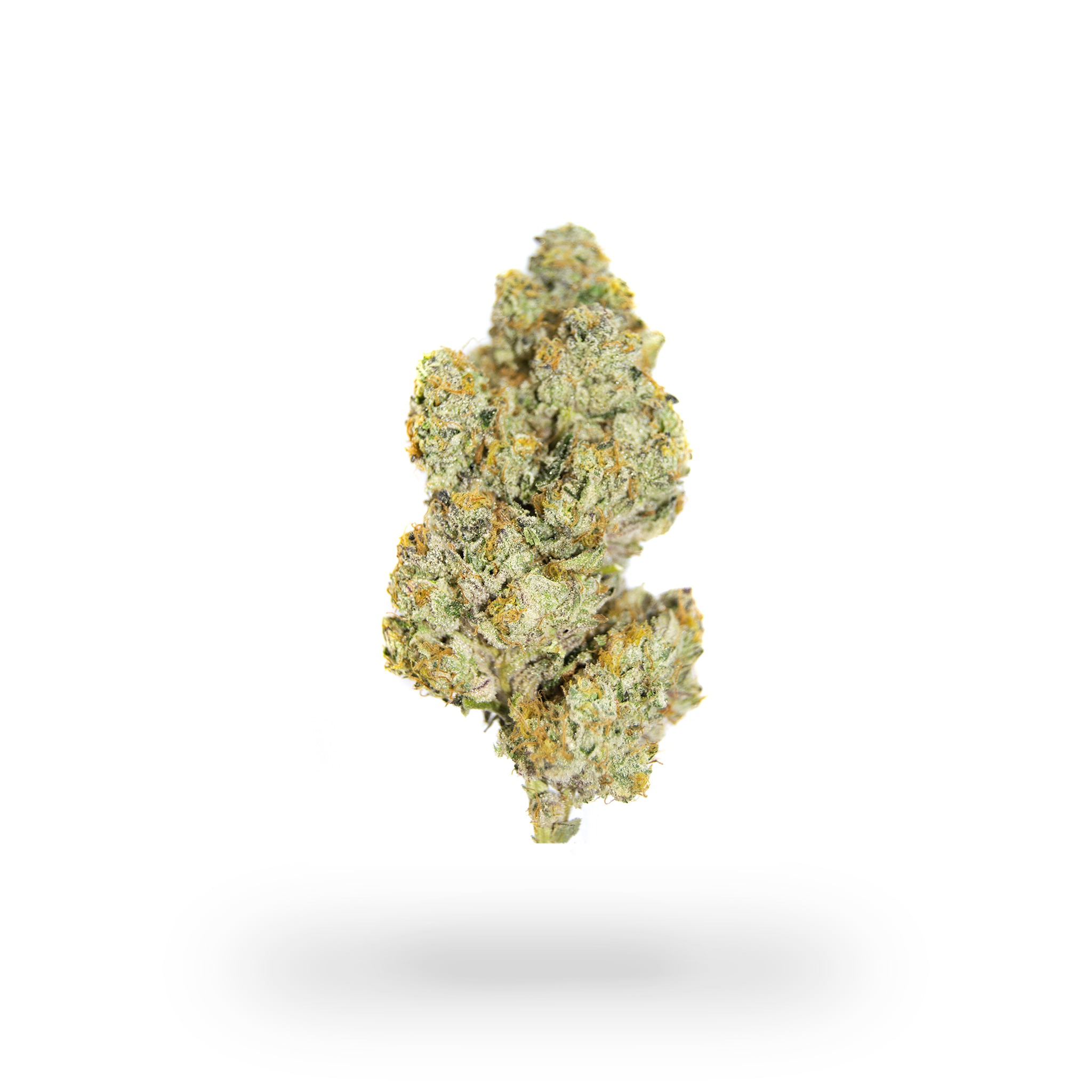 GrowHealthy Big Pine Key Leafly