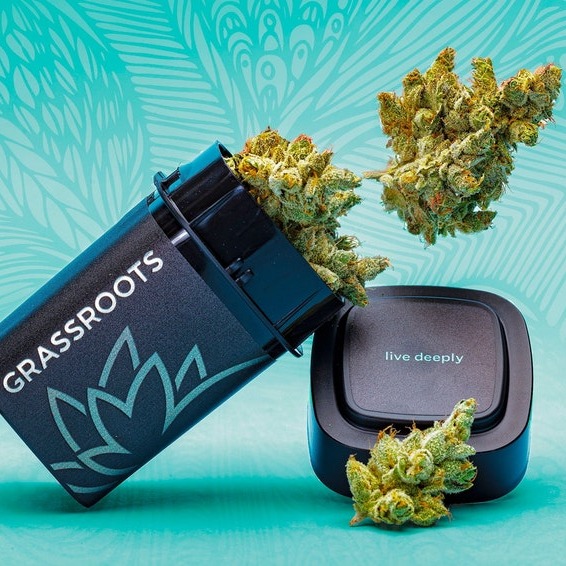 Grassroots Cannabis Sunset Shortcake Leafly