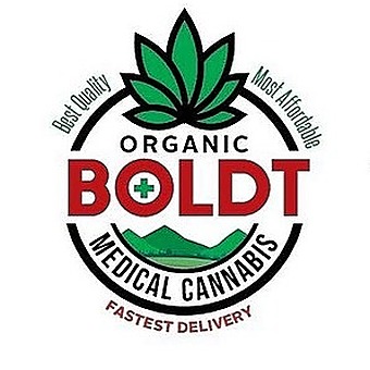 BOLDT - Delivery