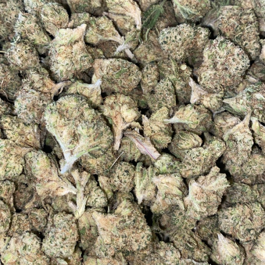 Bula Farms Blackstar Leafly