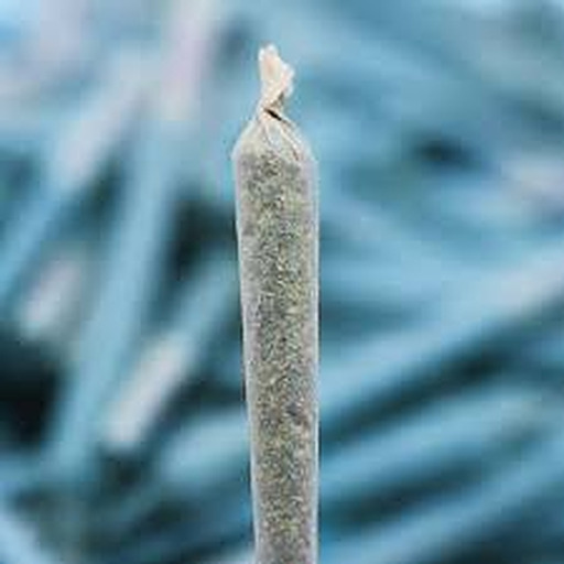 Medical Marijuana Program Connection Mendo Breath PreRoll 1g Leafly