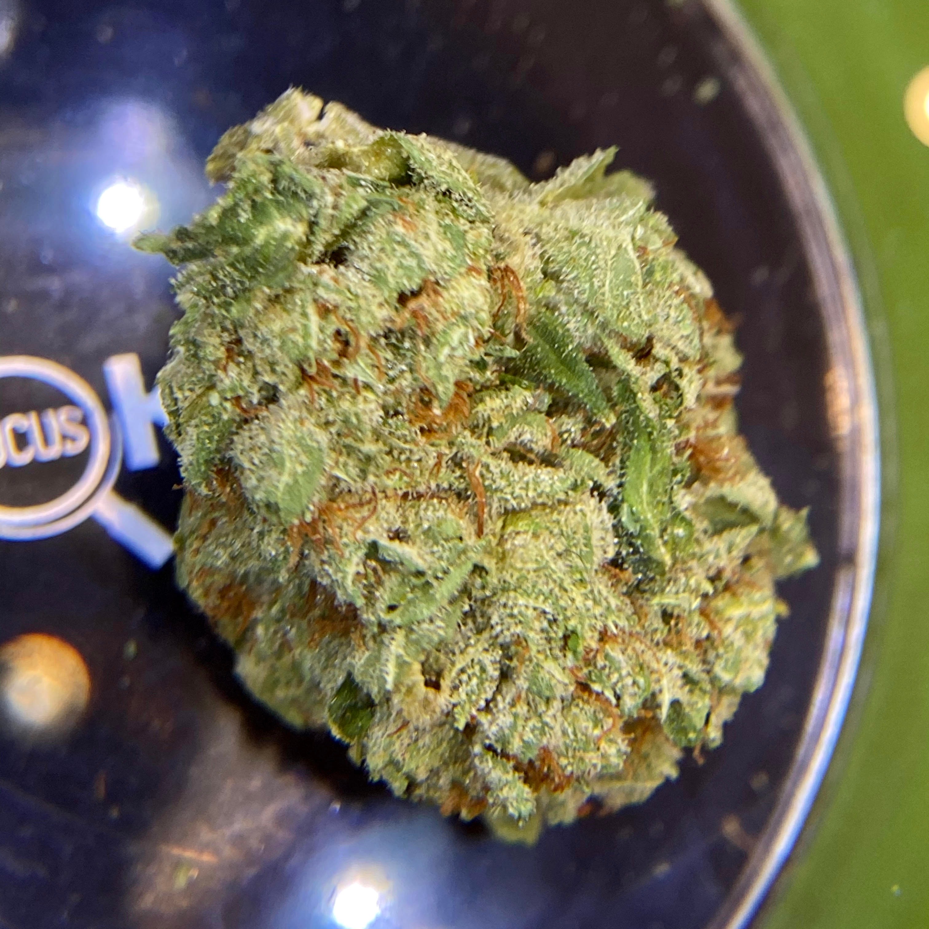 Bold Cultivation Pura Vida Leafly