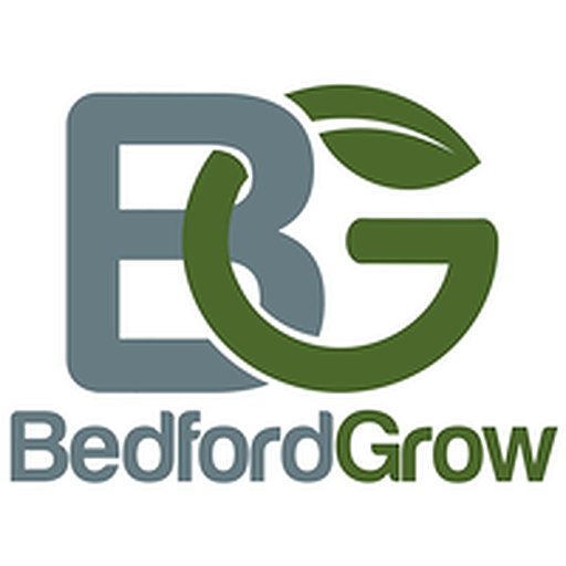 Bedford Grow Chem De Menthe Cartridge 0.5g Leafly