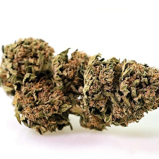 Sun Grown Electric Lettuce Leafly