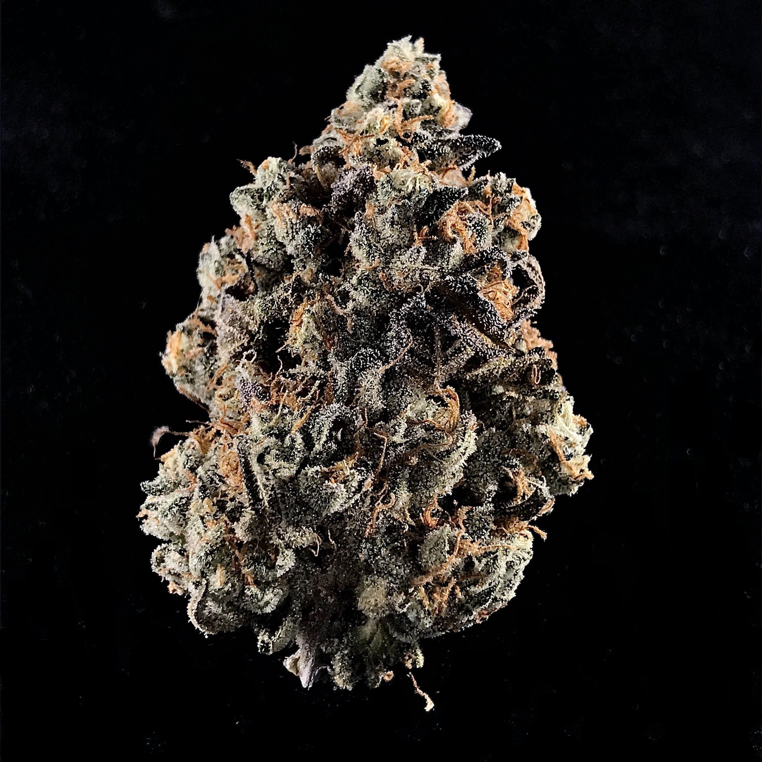 Alternative Solutions Fuel Biscuits Leafly