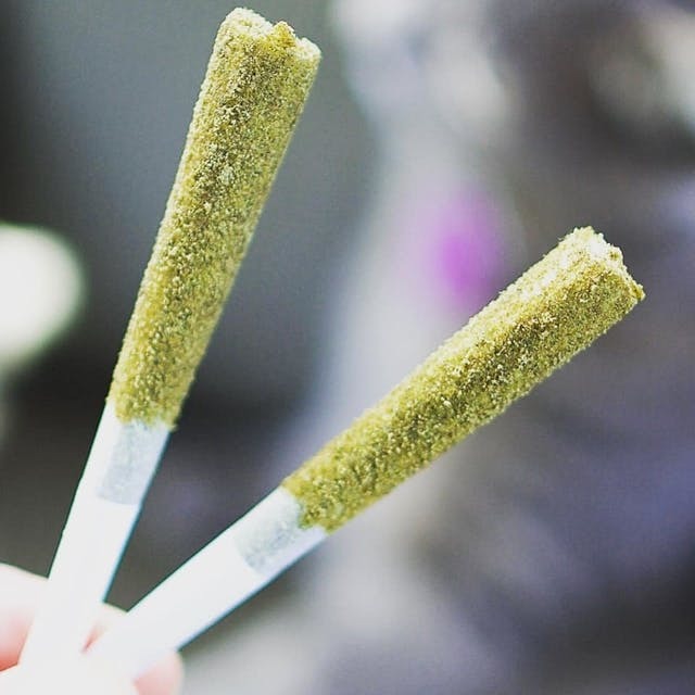 OG Kush x Kosher Glue PreRoll 0.5g Leafly