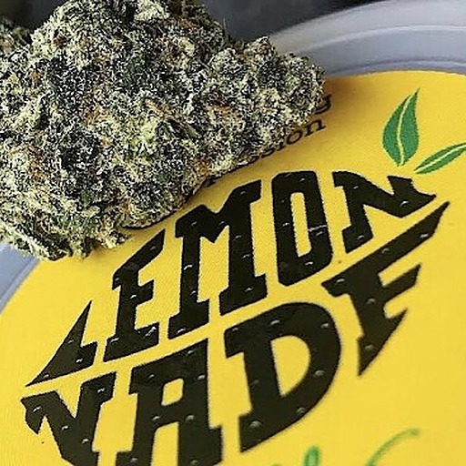 Lemonnade Medellin Leafly