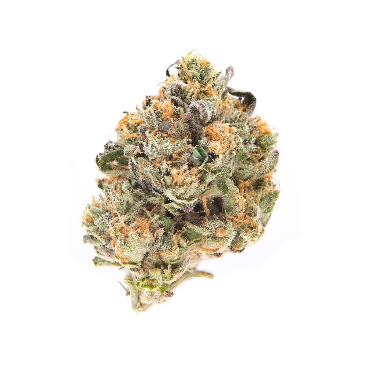 Prime Super Jet Fuel Leafly