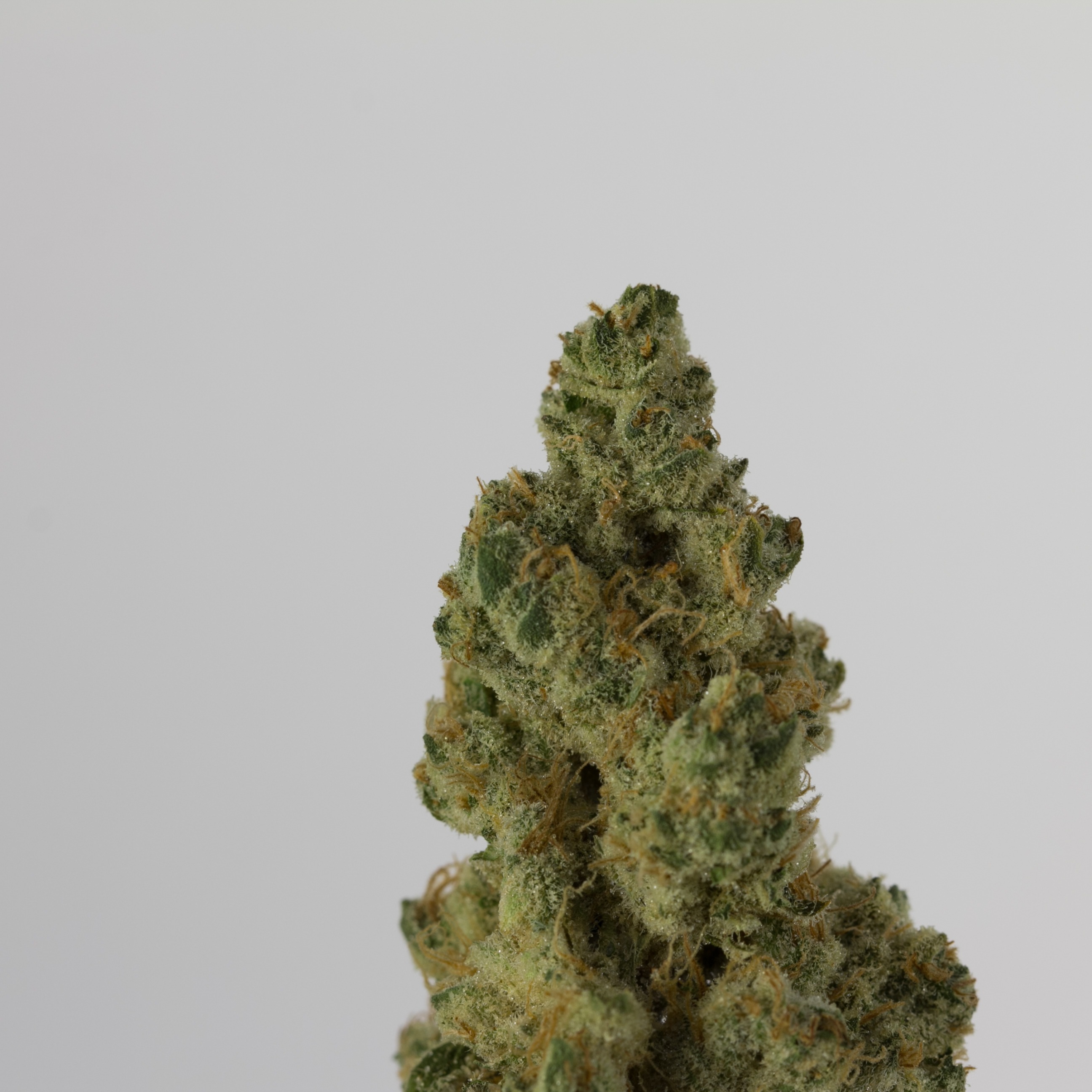 Arbors Wellness Breathwork Leafly