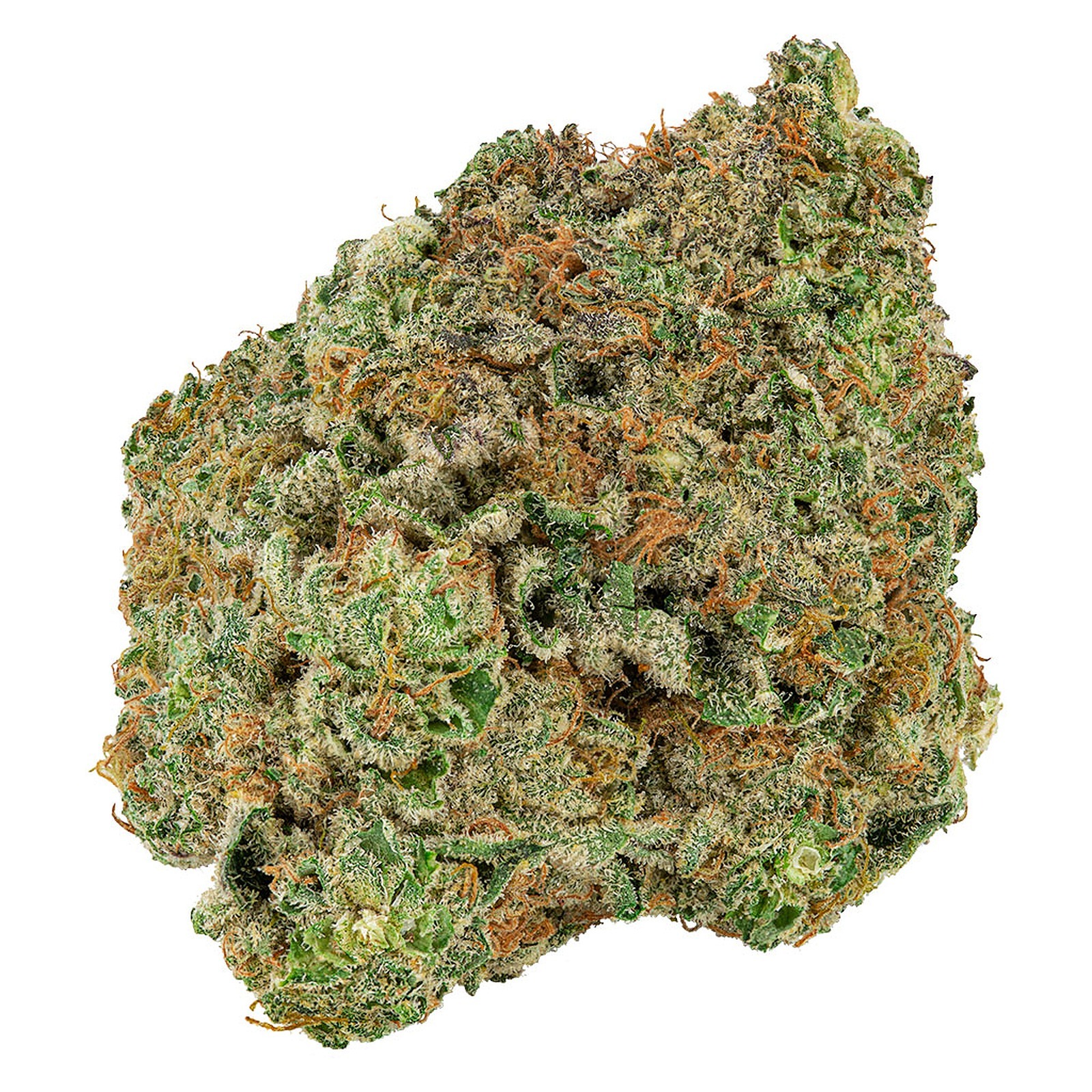 Big Bag O' Buds Dough Lato Leafly Big Bag O' Buds Dough Lato Leafly