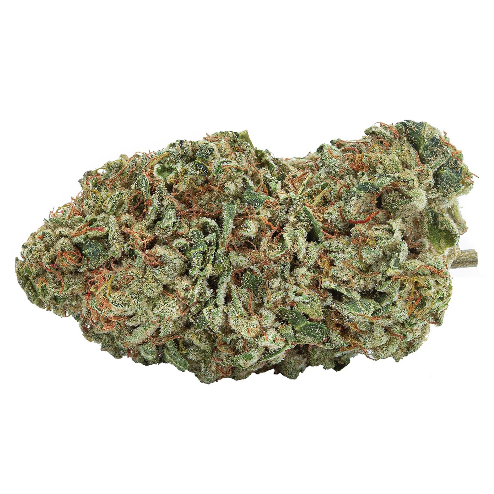 Organic Maple Kush
