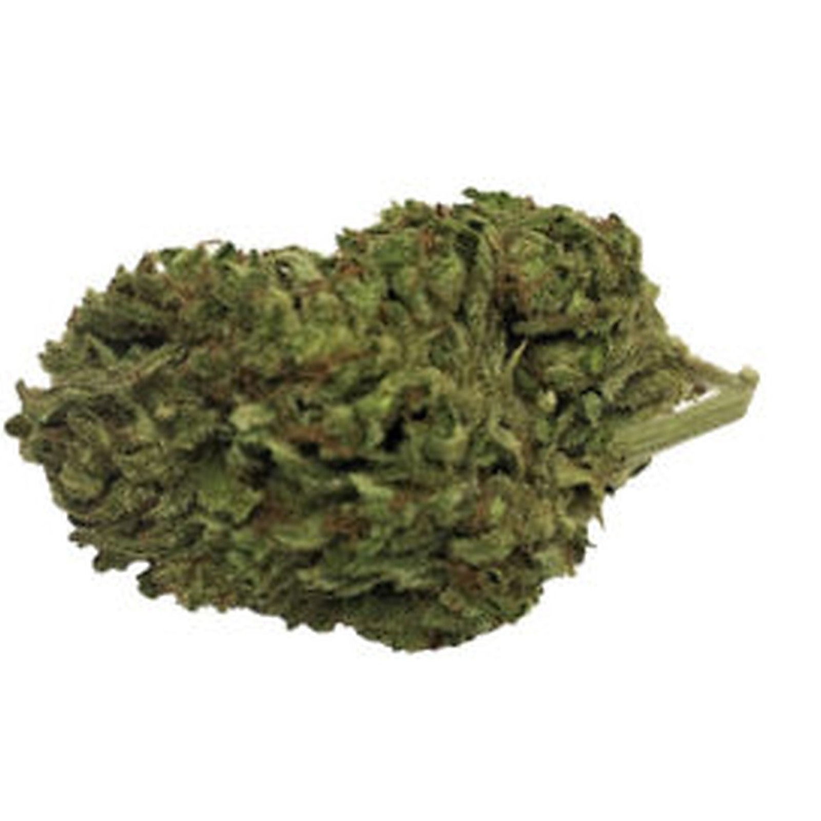 Williams Wonder Farms: Violet Fog