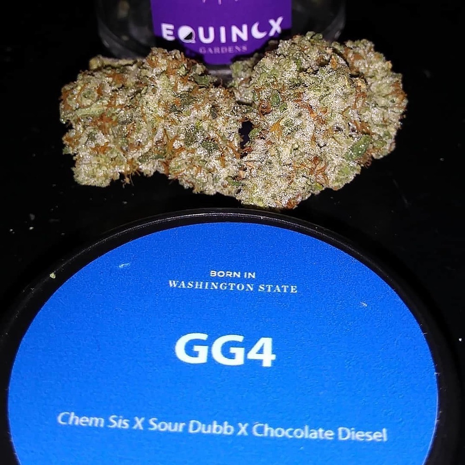 GG4 (F.K.A. Gorilla Glue 4) Leafly