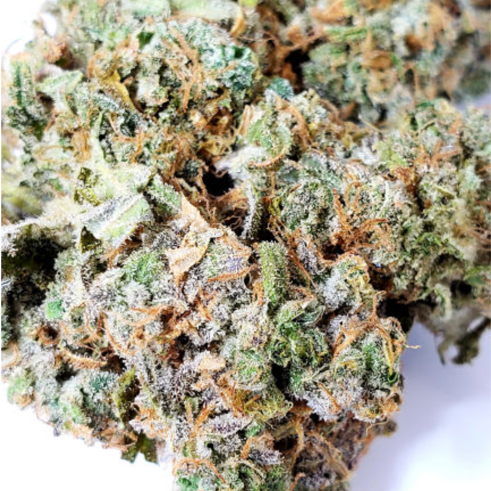 Bavarian Cream Leafly