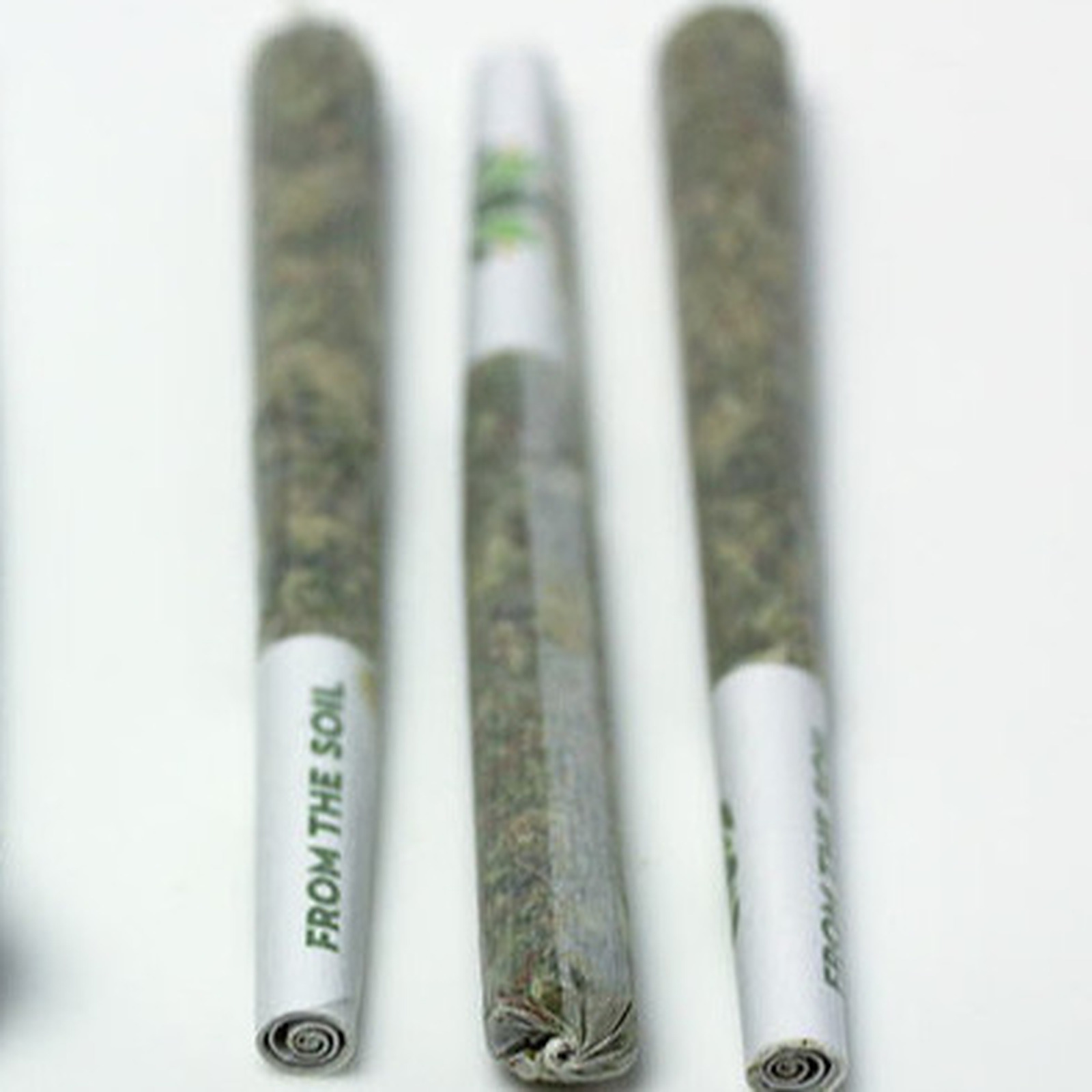 Grease Monkey PreRolls 1g 2pack Leafly