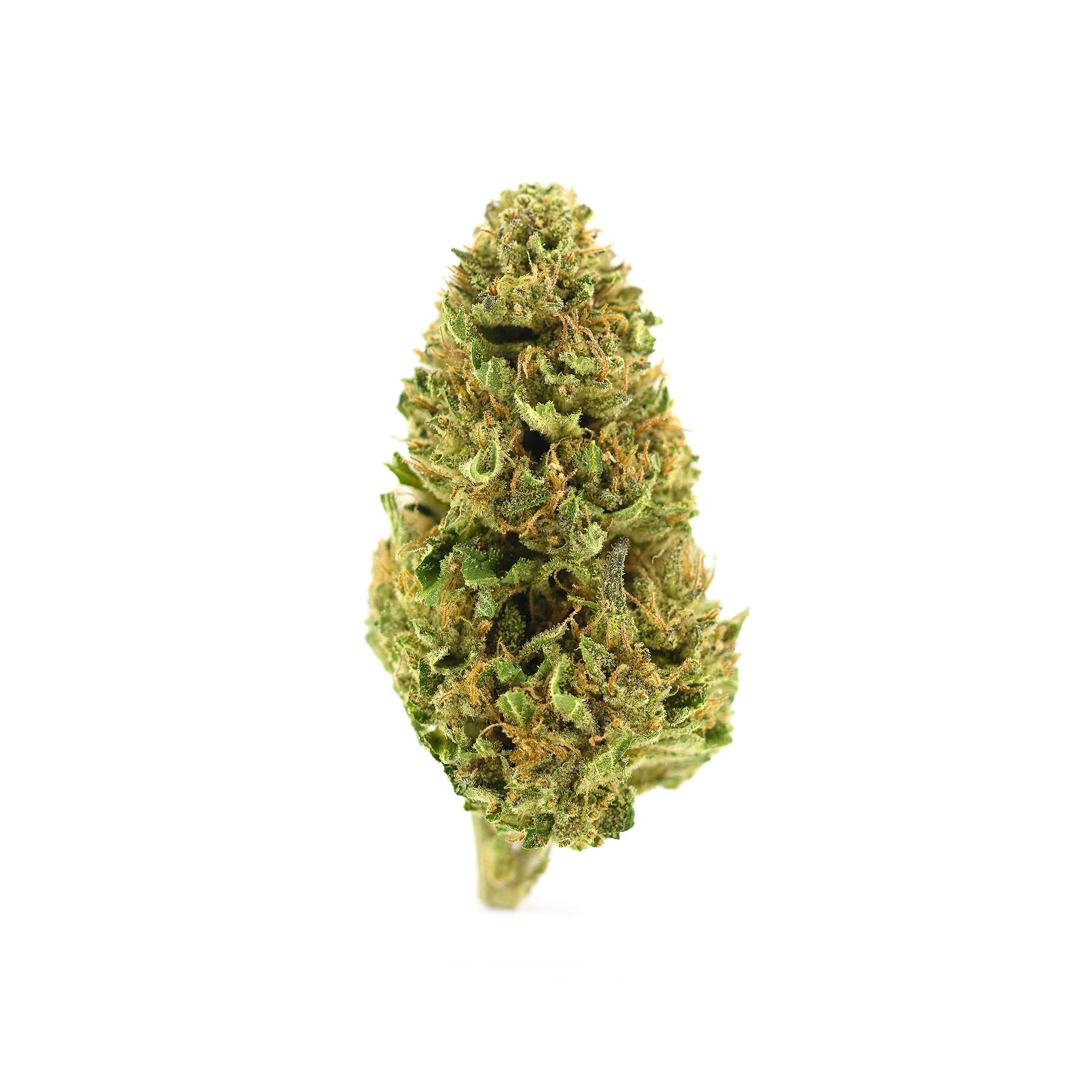 Williams Wonder Farms: Purple Punch