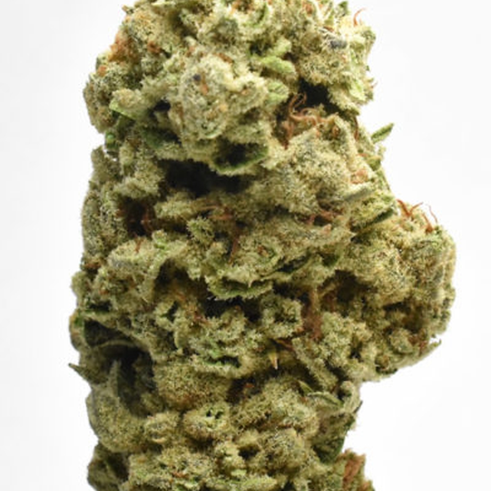 High Five Farms Blue Sugar Cookies Leafly