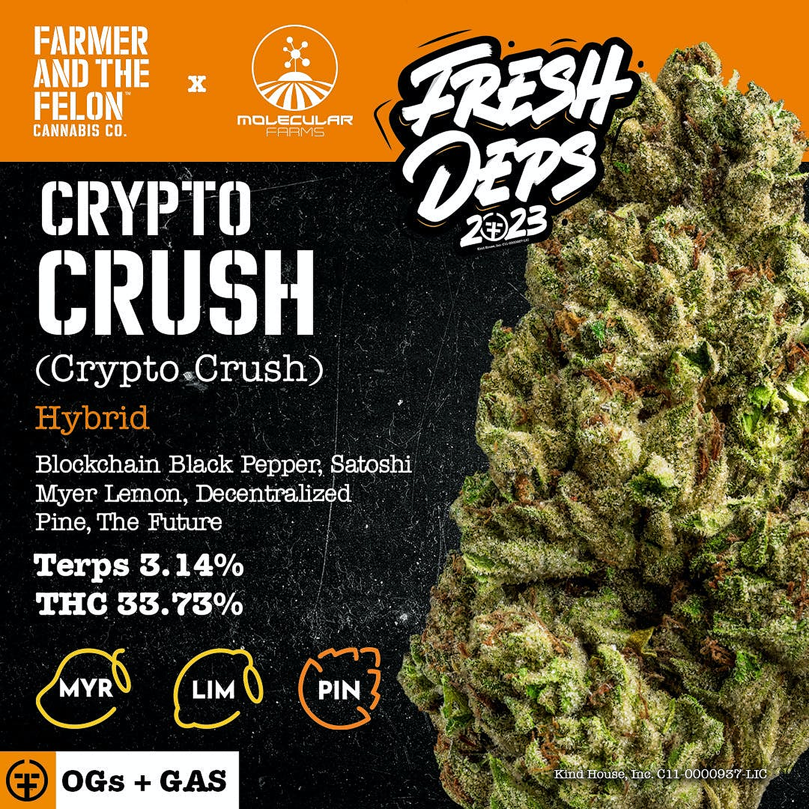 Crypto strain (95) foto