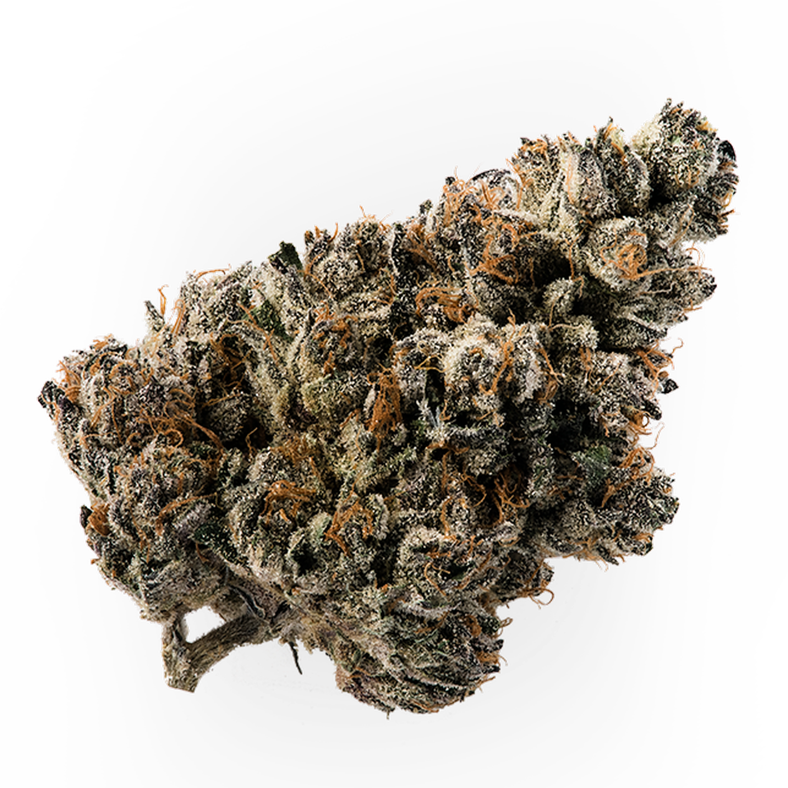 Midnight Tryst Leafly