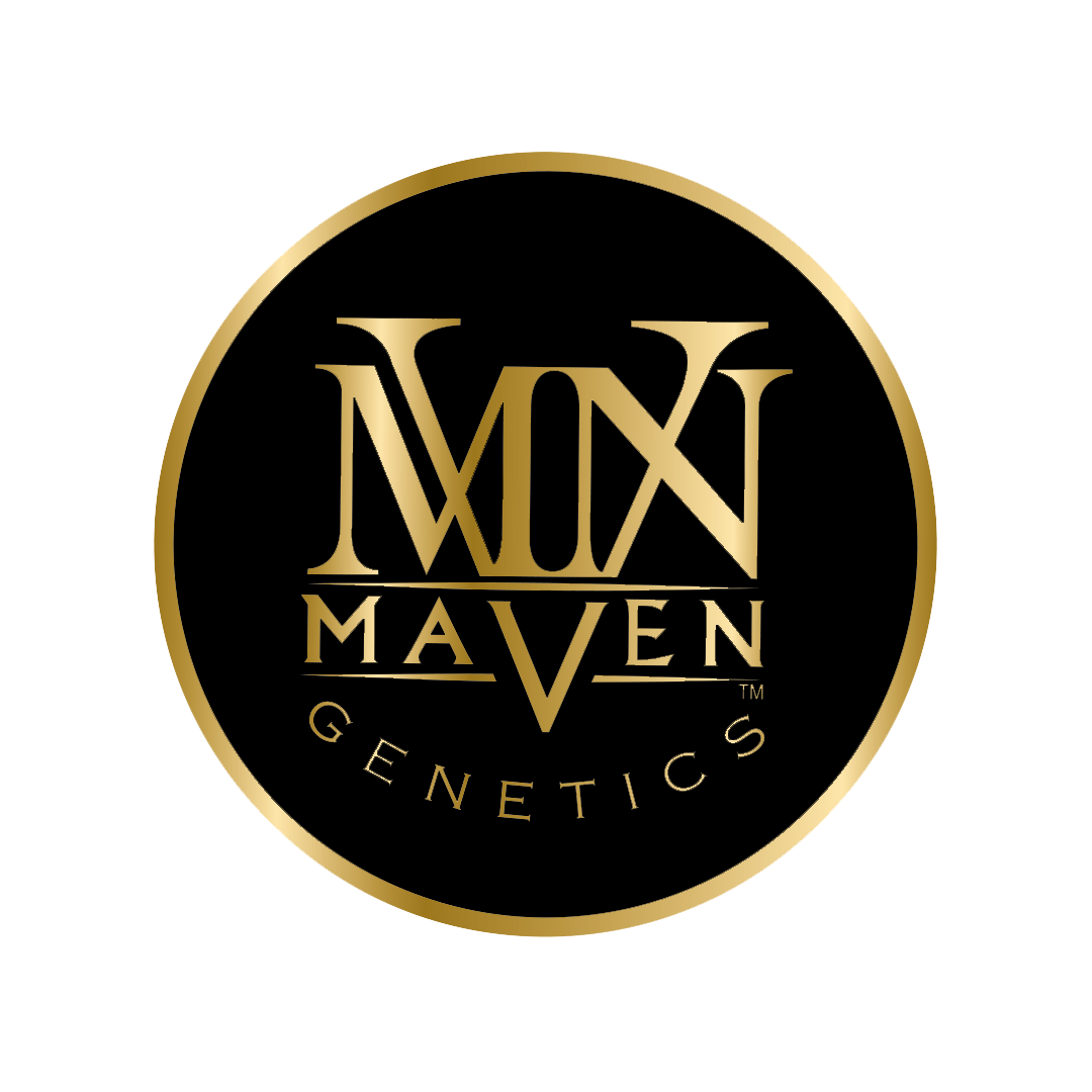 Maven Genetics — Biscotti