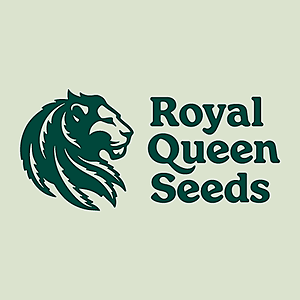 Feminized Seeds - Dynamite Diesel FEM (Royal Queen X Tyson 2.0)