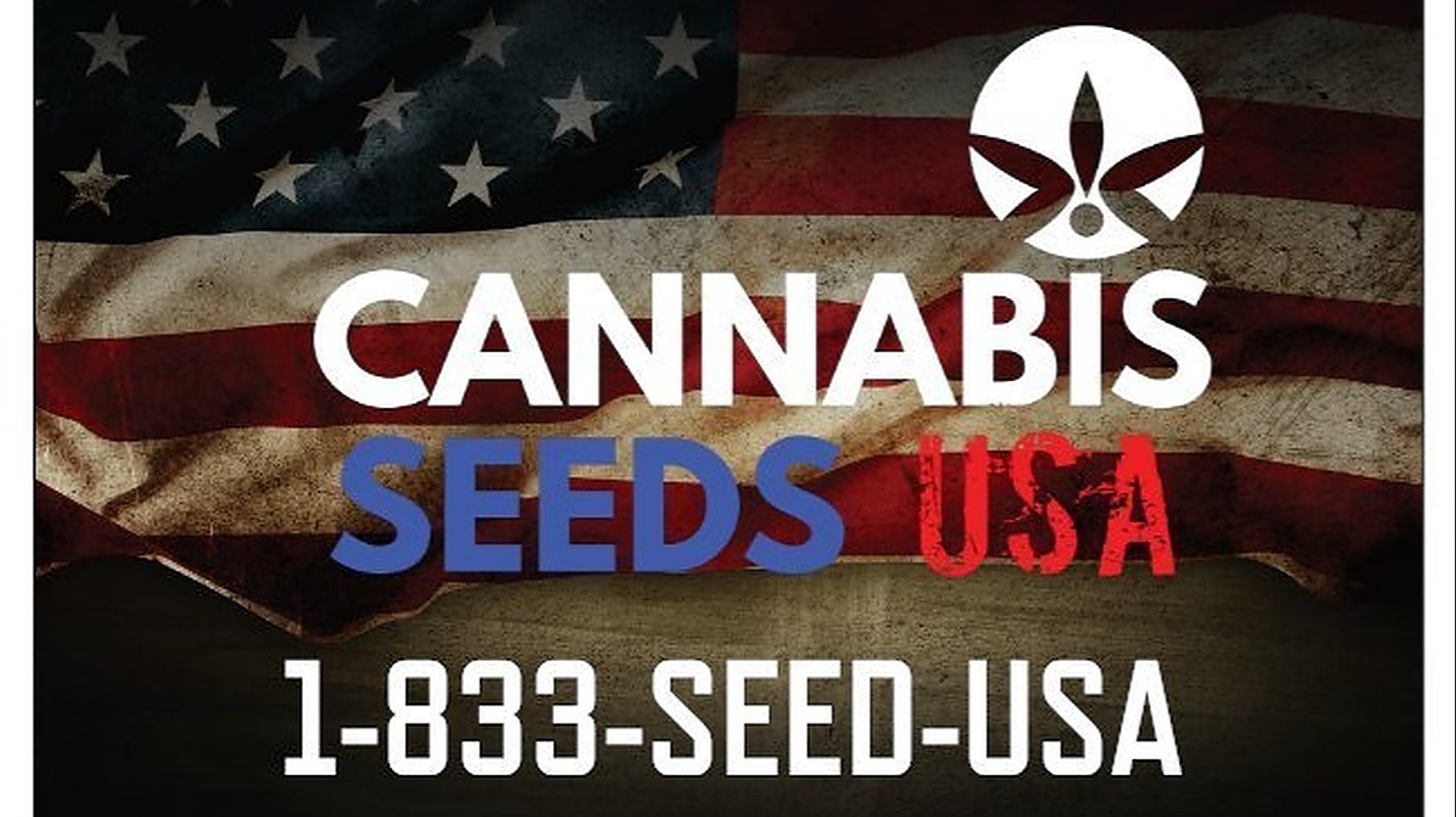Cannabis Seeds USA Get your seeds directly from USA! Leafly
