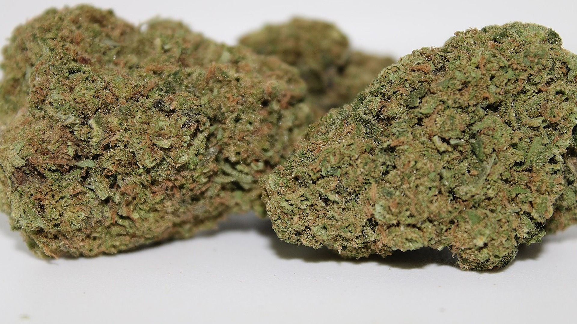 Bay Smokes Connoisseurs Choice Hemp Leafly