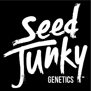 SEED JUNKY — Permanent Fumes