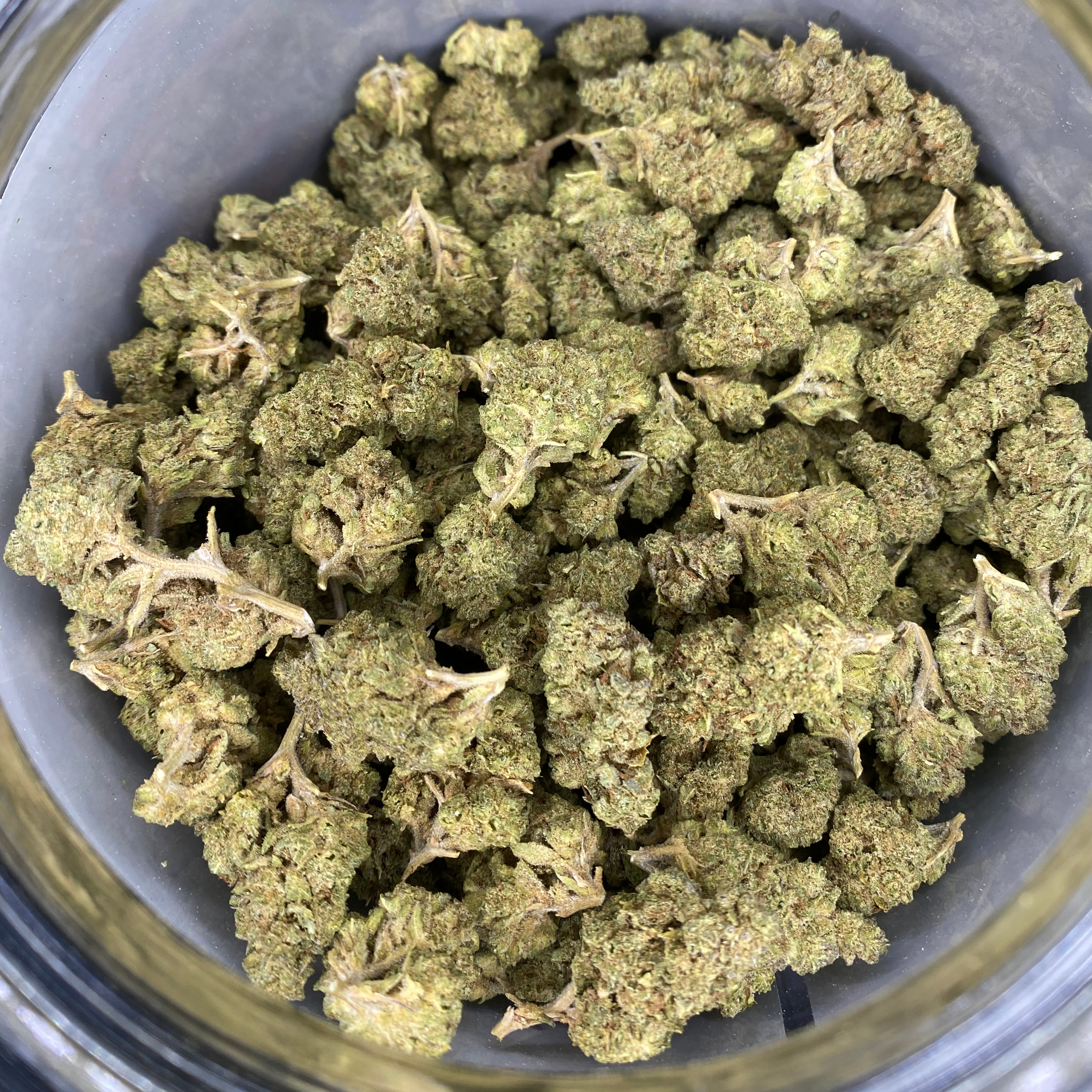 Trellis Farms: Tropicana Hashplant