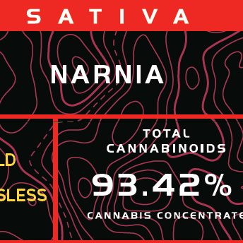 Freshy: Riptide - Elro - Narnia S