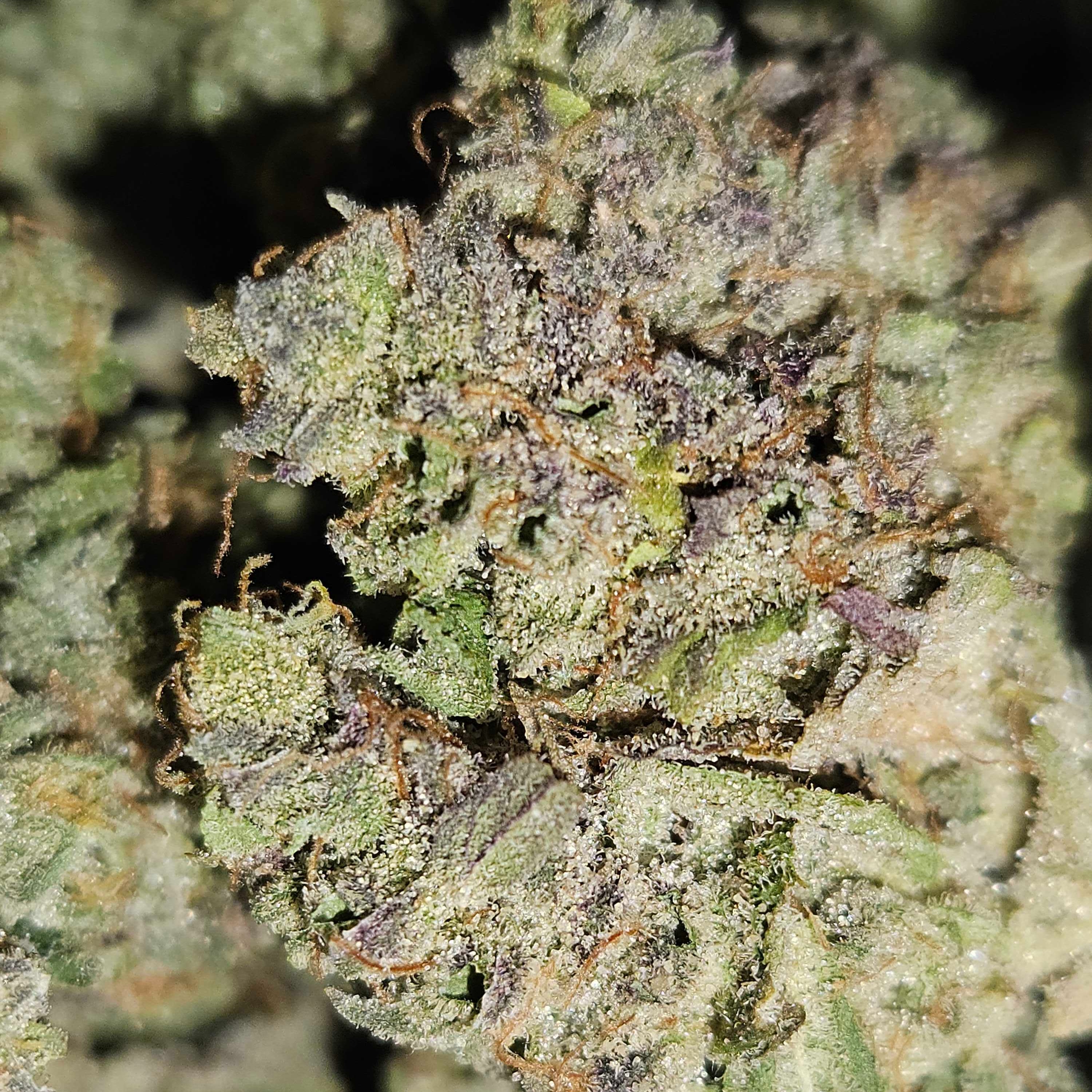 Private Reserve: Blueberry Cake