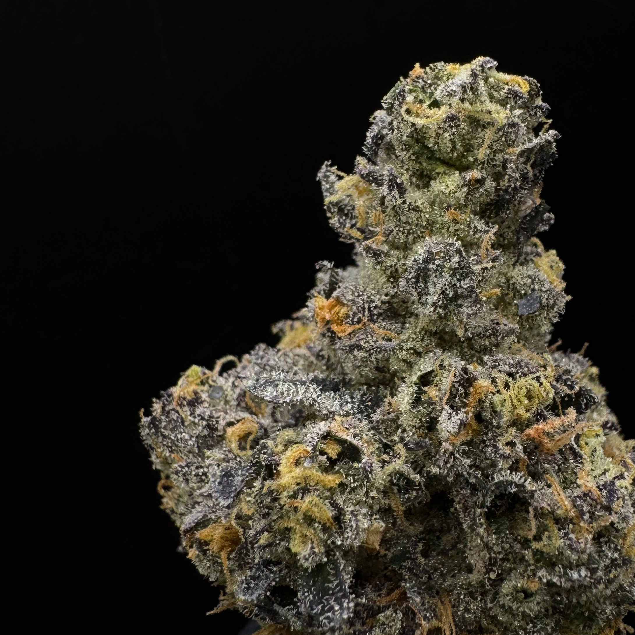 Lofty: Blue Smoothie