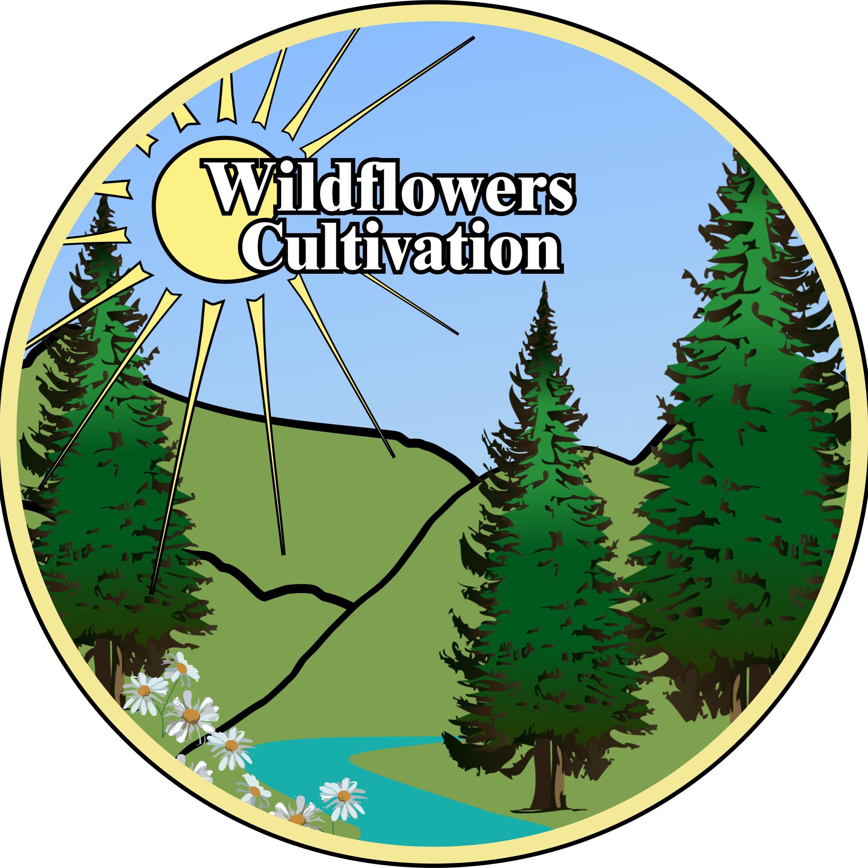 Wildflowers Cultivation: Lemon Animal Mints