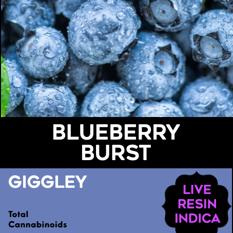 Freshy: Blueberry Burst
