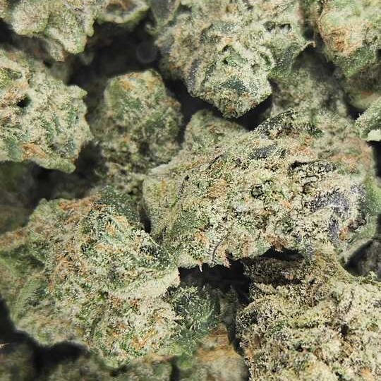 Botanikos: Grape Lobster