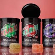 Calyx: Squib - Black Raspberry
