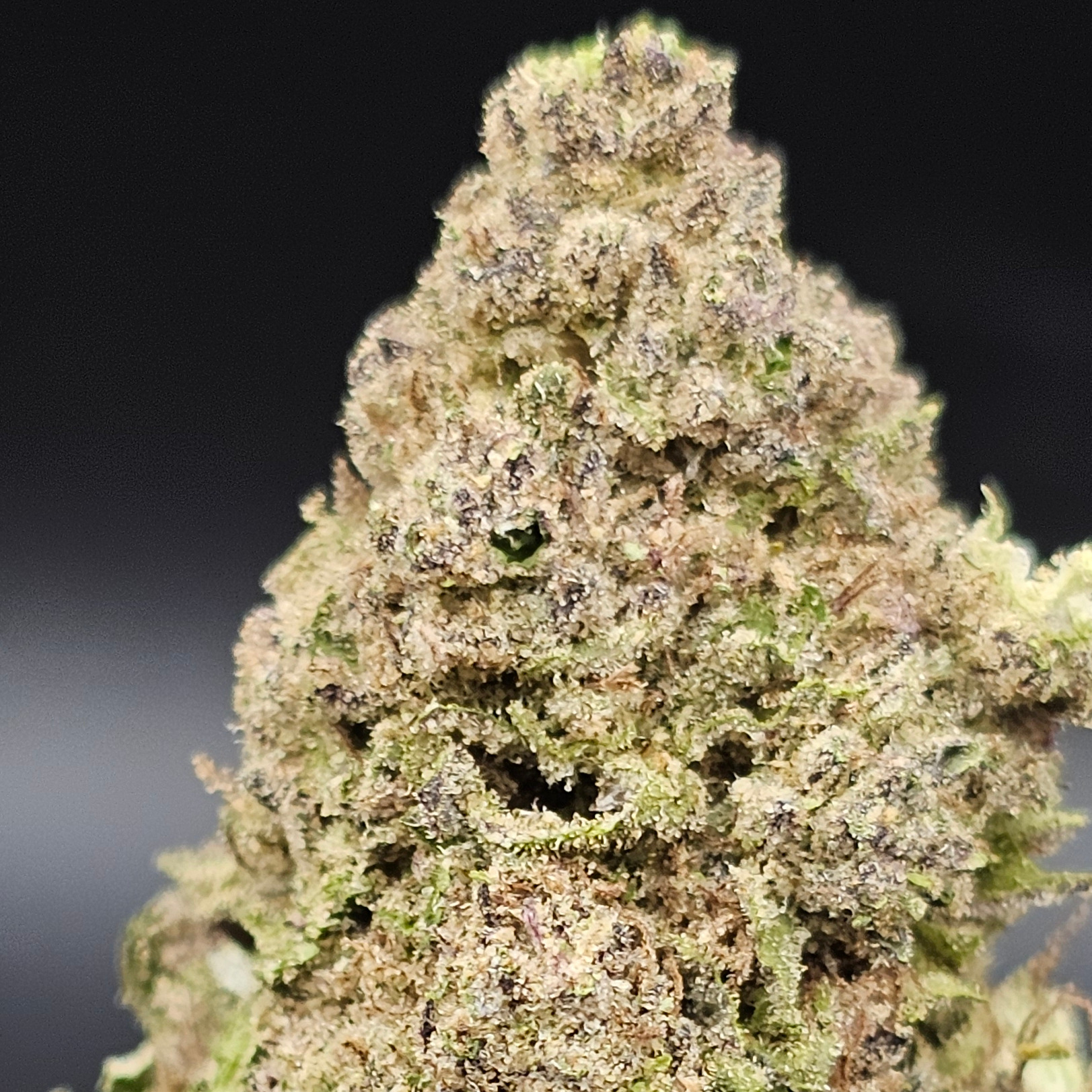 Williams Wonder Farms: Blue Diesel