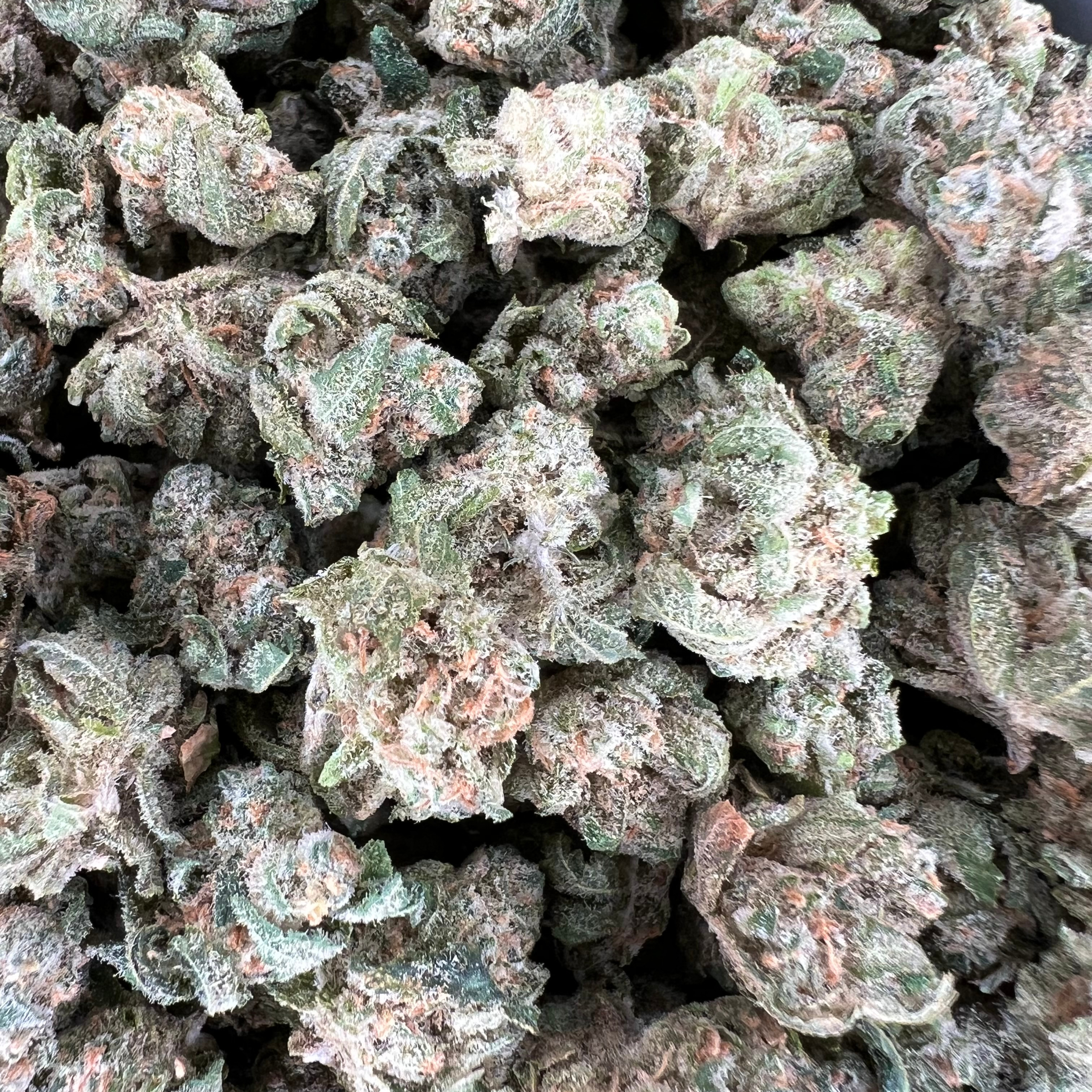 Legacy Gardens: Humboldt Dream