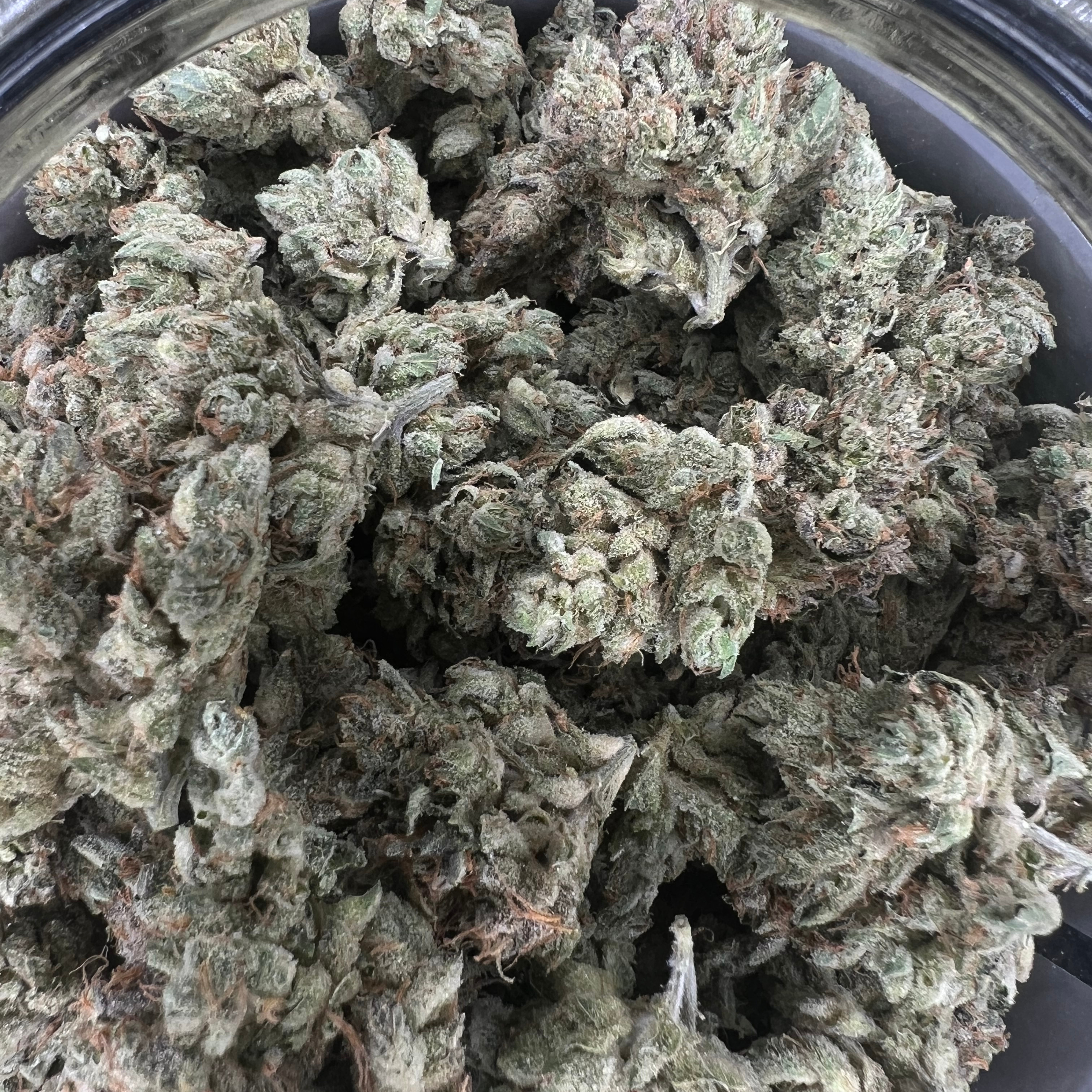 Resin Rancher's: Stardawg